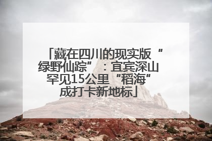 藏在四川的现实版“绿野仙踪”：宜宾深山罕见15公里“稻海”成打卡新地标