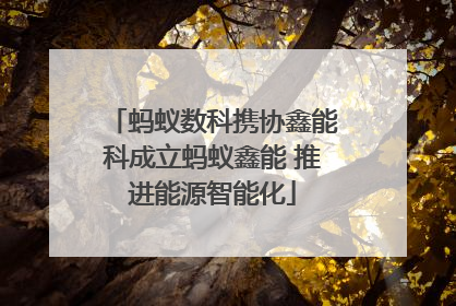 蚂蚁数科携协鑫能科成立蚂蚁鑫能 推进能源智能化