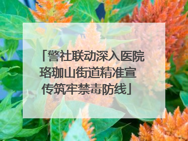 警社联动深入医院 珞珈山街道精准宣传筑牢禁毒防线