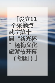 设立11个采摘点 武宁第十一届“新光杯”杨梅文化旅游节开幕（组图）