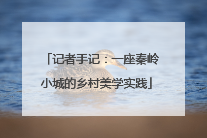 记者手记：一座秦岭小城的乡村美学实践