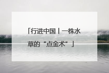 行进中国丨一株水草的“点金术”