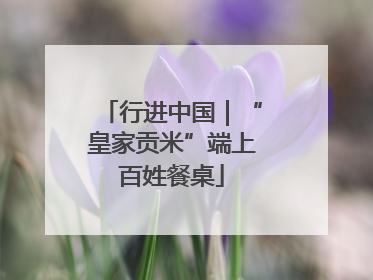 行进中国｜“皇家贡米”端上百姓餐桌