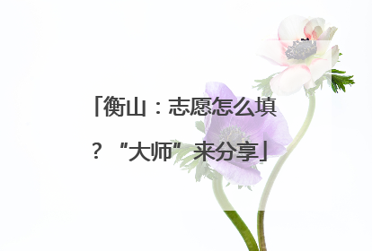 衡山：志愿怎么填？“大师”来分享