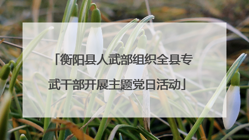 衡阳县人武部组织全县专武干部开展主题党日活动
