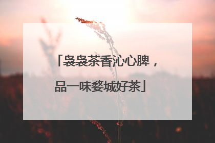 袅袅茶香沁心脾，品一味婺城好茶