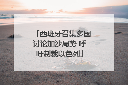 西班牙召集多国讨论加沙局势 呼吁制裁以色列
