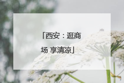 西安：逛商场 享清凉