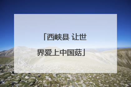 西峡县 让世界爱上中国菇