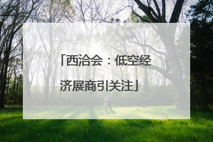 西洽会：低空经济展商引关注