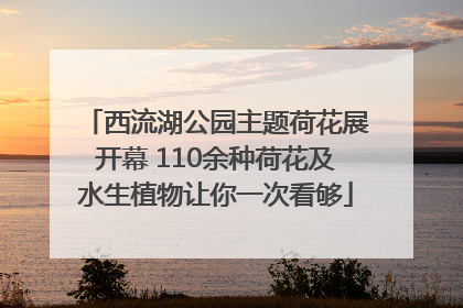 西流湖公园主题荷花展开幕 110余种荷花及水生植物让你一次看够