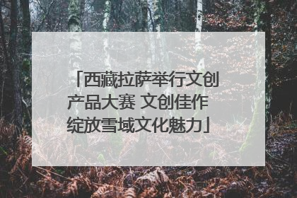 西藏拉萨举行文创产品大赛 文创佳作绽放雪域文化魅力