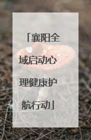 襄阳全域启动心理健康护航行动