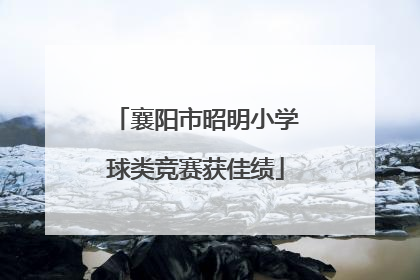 襄阳市昭明小学球类竞赛获佳绩