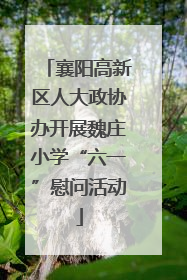 襄阳高新区人大政协办开展魏庄小学“六一”慰问活动
