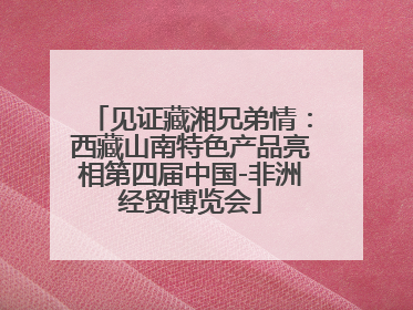 见证藏湘兄弟情：西藏山南特色产品亮相第四届中国-非洲经贸博览会