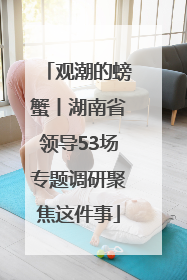 观潮的螃蟹丨湖南省领导53场专题调研聚焦这件事