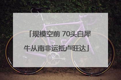 规模空前 70头白犀牛从南非运抵卢旺达