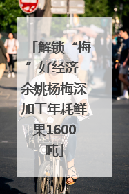 解锁“梅”好经济 余姚杨梅深加工年耗鲜果1600吨