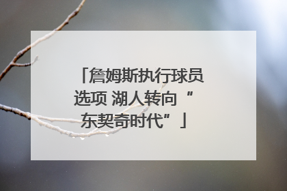 詹姆斯执行球员选项 湖人转向“东契奇时代”