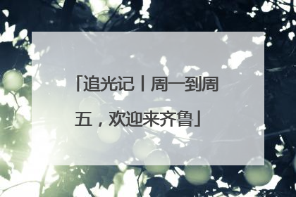 追光记丨周一到周五，欢迎来齐鲁