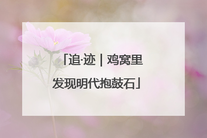 追·迹｜鸡窝里发现明代抱鼓石