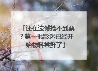 还在遗憾抢不到票？第一批影迷已经开始物料尝鲜了