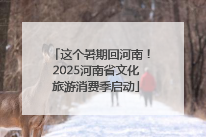 这个暑期回河南！2025河南省文化旅游消费季启动