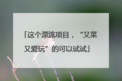 这个漂流项目，“又菜又爱玩”的可以试试