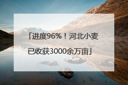 进度96%！河北小麦已收获3000余万亩