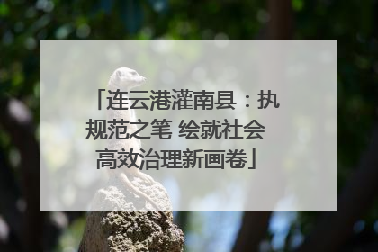 连云港灌南县：执规范之笔 绘就社会高效治理新画卷