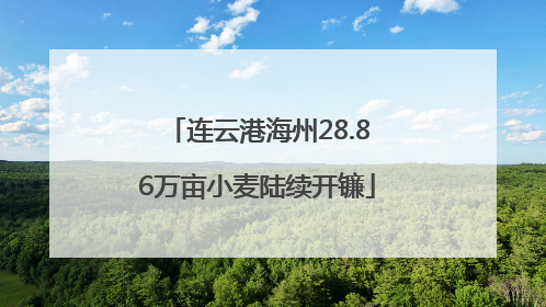连云港海州28.86万亩小麦陆续开镰
