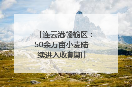 连云港赣榆区：50余万亩小麦陆续进入收割期