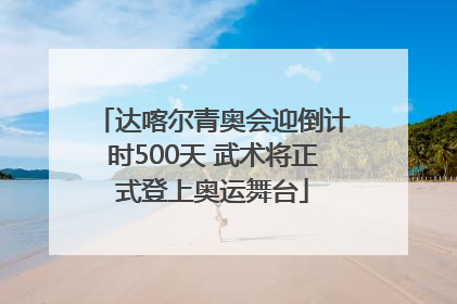 达喀尔青奥会迎倒计时500天 武术将正式登上奥运舞台
