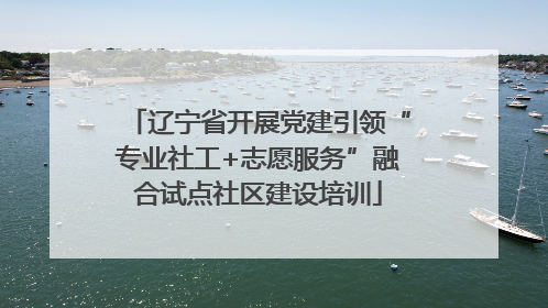 辽宁省开展党建引领“专业社工+志愿服务”融合试点社区建设培训