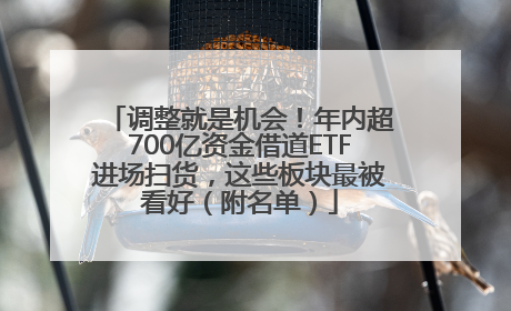 调整就是机会！年内超700亿资金借道ETF进场扫货，这些板块最被看好（附名单）