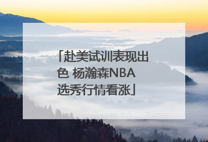 赴美试训表现出色 杨瀚森NBA选秀行情看涨