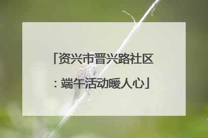 资兴市晋兴路社区：端午活动暖人心