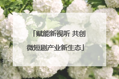 赋能新视听 共创微短剧产业新生态