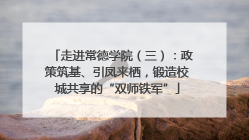 走进常德学院（三）：政策筑基、引凤来栖，锻造校城共享的“双师铁军”