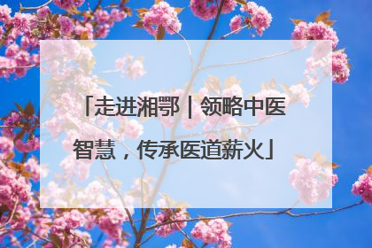 走进湘鄂｜领略中医智慧，传承医道薪火