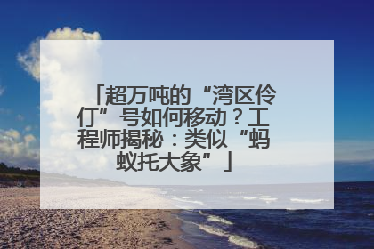 超万吨的“湾区伶仃”号如何移动？工程师揭秘：类似“蚂蚁托大象”