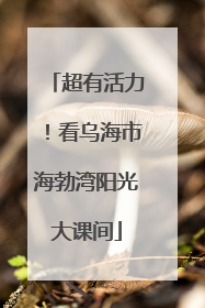 超有活力！看乌海市海勃湾阳光大课间