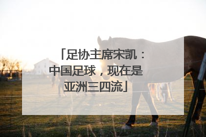 足协主席宋凯：中国足球，现在是亚洲三四流