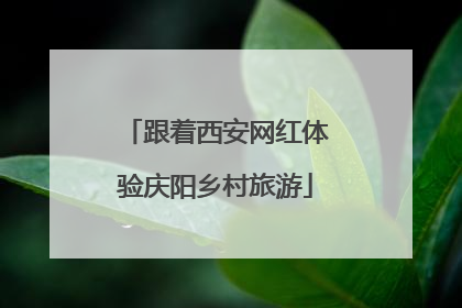 跟着西安网红体验庆阳乡村旅游