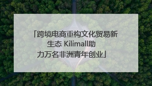 跨境电商重构文化贸易新生态 Kilimall助力万名非洲青年创业