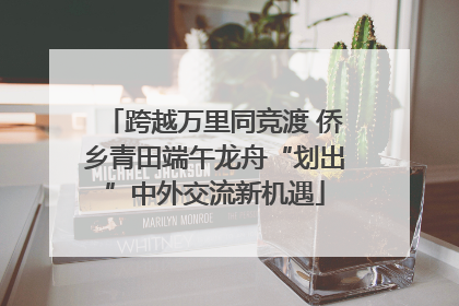 跨越万里同竞渡 侨乡青田端午龙舟“划出”中外交流新机遇