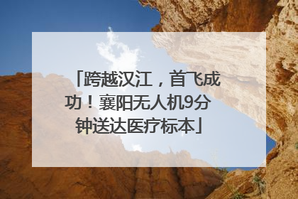 跨越汉江，首飞成功！襄阳无人机9分钟送达医疗标本