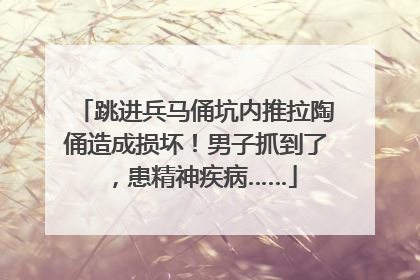 跳进兵马俑坑内推拉陶俑造成损坏！男子抓到了，患精神疾病……