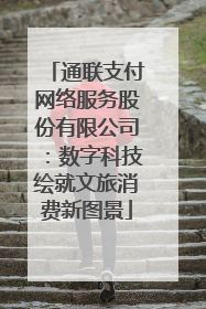 通联支付网络服务股份有限公司：数字科技绘就文旅消费新图景